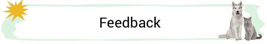 Plush Squeaky Dog Toys – Food-Shaped Chew Toys (Ice Cream, Fries, Hamburger)