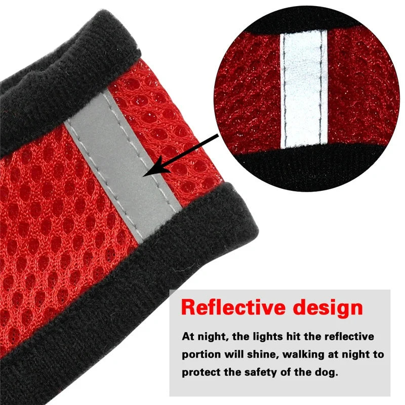 Adjustable Dog Harness & Leash Set – Breathable Vest for Small Dogs & Cats