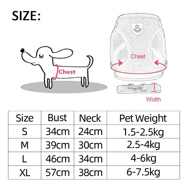 Adjustable Dog Harness & Leash Set – Breathable Vest for Small Dogs & Cats