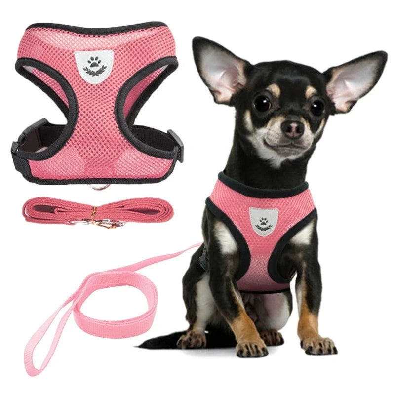 Adjustable Dog Harness & Leash Set – Breathable Vest for Small Dogs & Cats