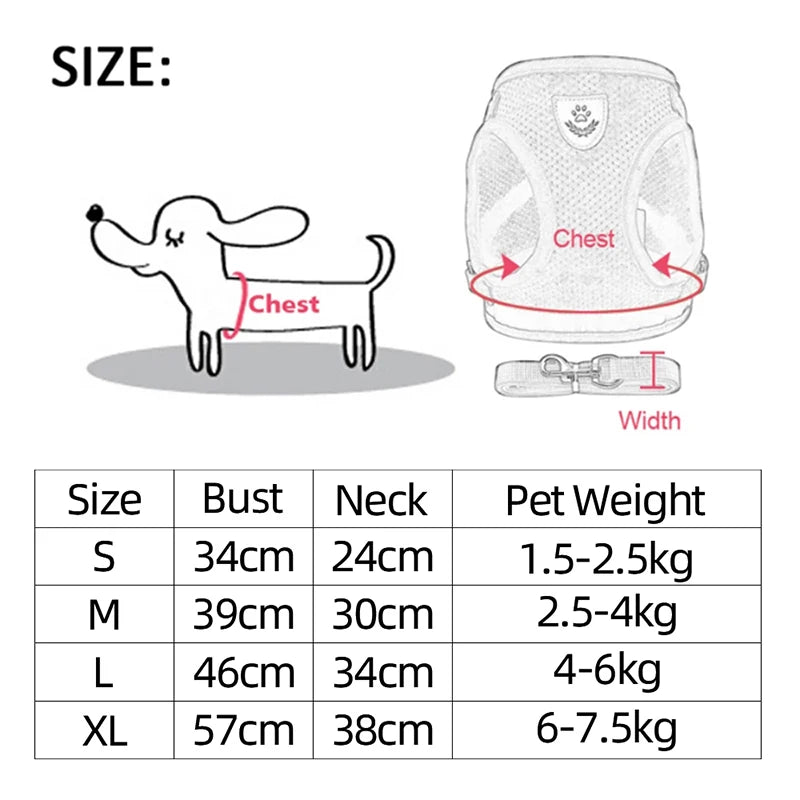 Adjustable Dog Harness & Leash Set – Breathable Vest for Small Dogs & Cats