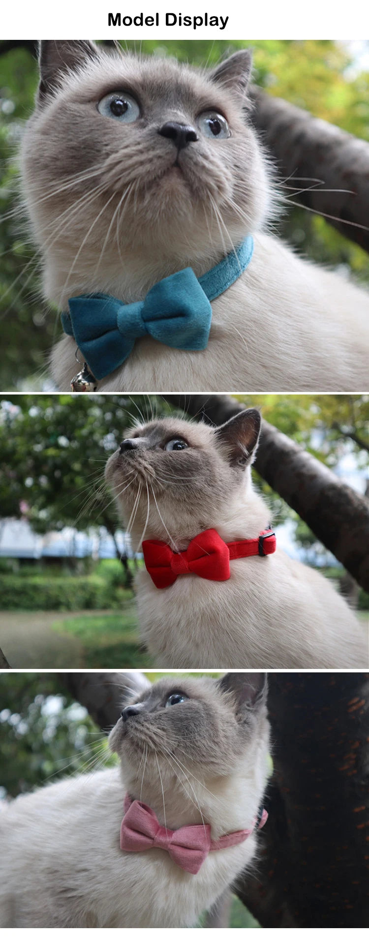 Velvet Cat Collar with Bow & Bell – Adjustable Safety Collar for Cats & Small Dogs