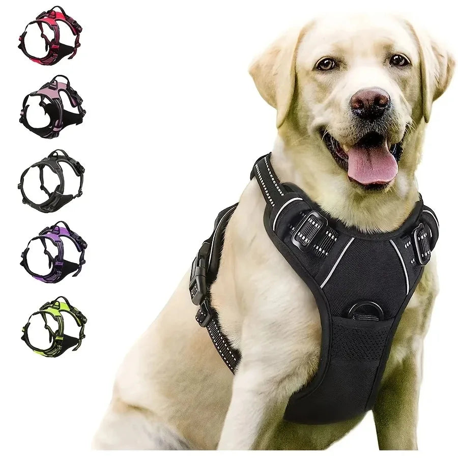 Leather Dog Harness & Leash Set for Small & Medium Dogs