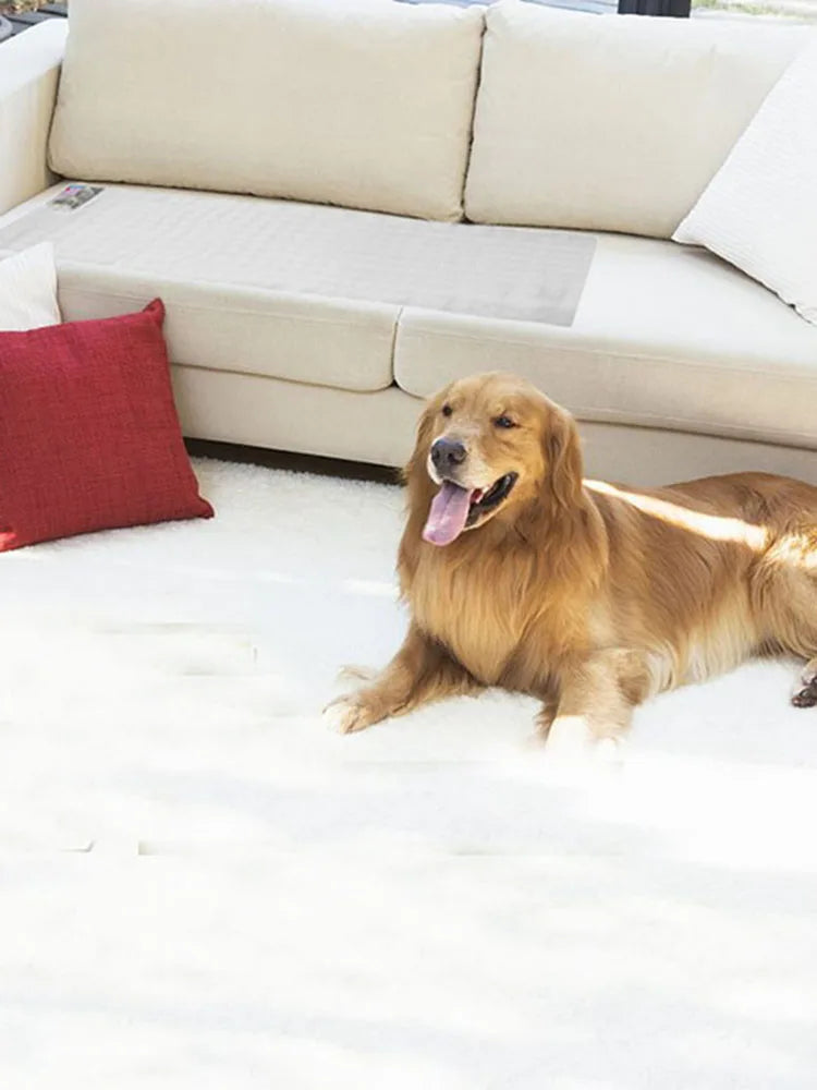 Electrostatic Pet Training Mat – Repellent Barrier for Cats & Dogs