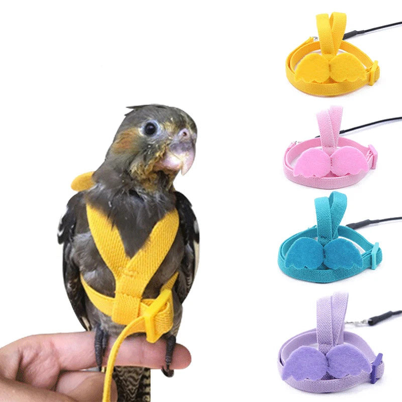 Parrot Flight Harness & Leash – Outdoor Training Suit for Budgies, Cockatiels & Macaws