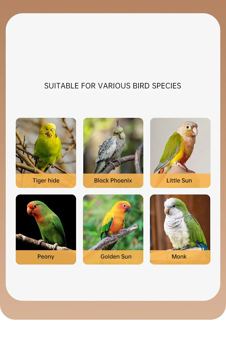 Parrot Training Leash with Auto Retractable Cord – Outdoor Flight Control Rope