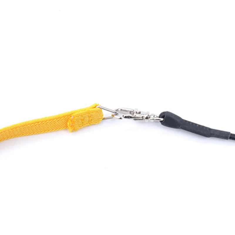 Parrot Flight Harness & Leash – Outdoor Training Suit for Budgies, Cockatiels & Macaws