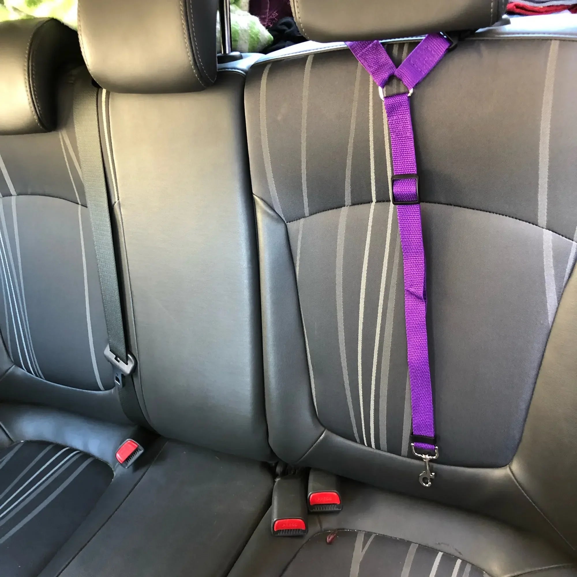 2-in-1 Adjustable Pet Car Seat Belt & Nylon Leash – Solid Color