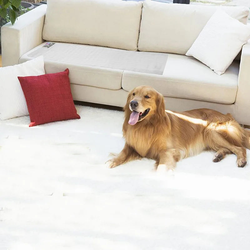 Electrostatic Pet Training Mat – Repellent Barrier for Cats & Dogs