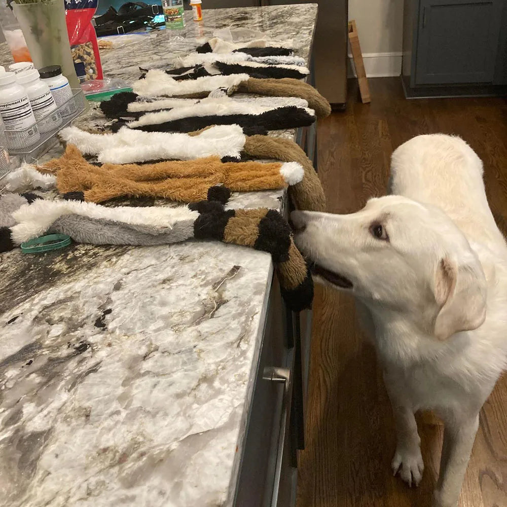 Stuffing-Free Squeaky Dog Toy – Durable Crinkle Plush Chew Toy