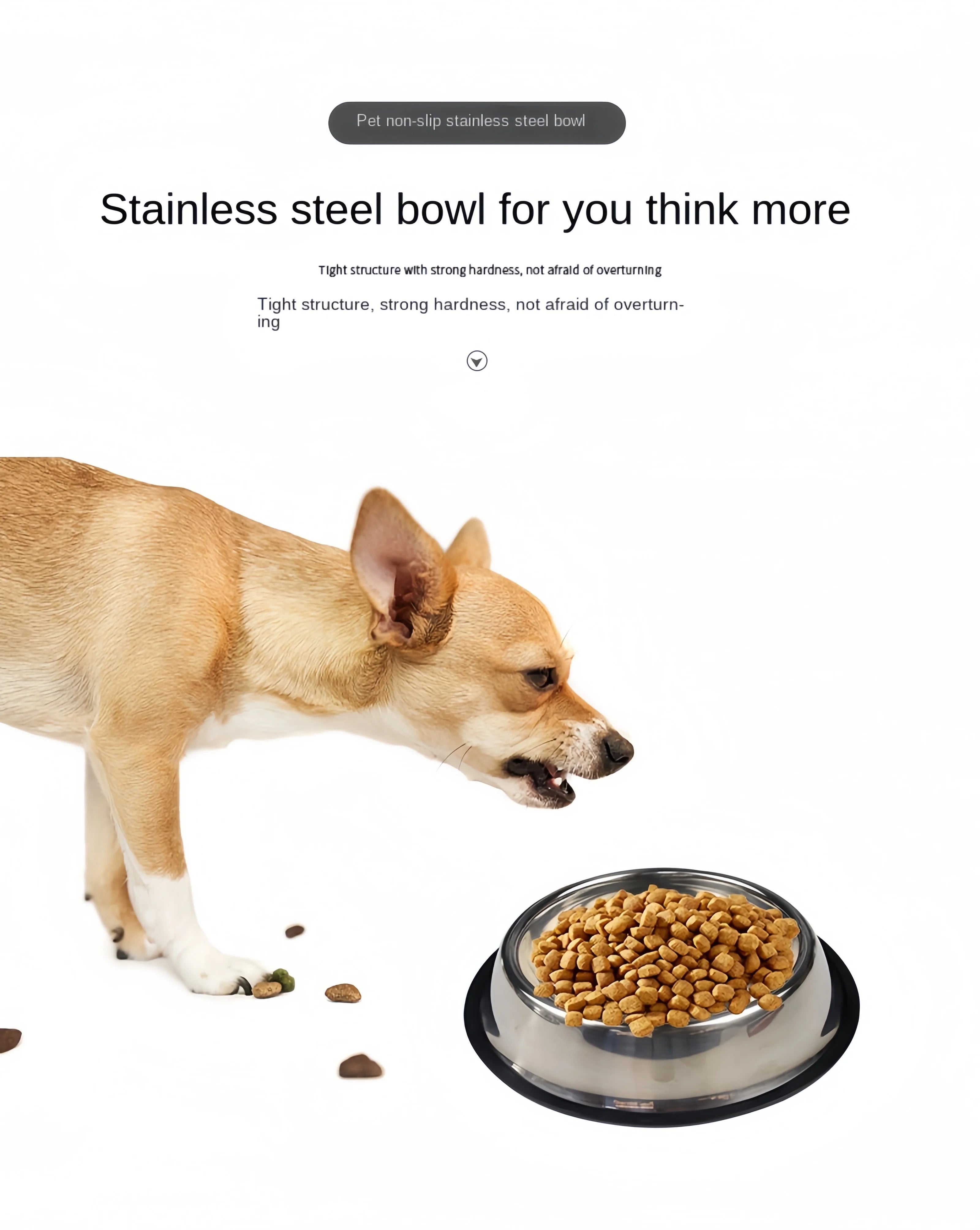 Stainless Steel Pet Feeding Bowl – Durable Food & Water Dish (6 Sizes)