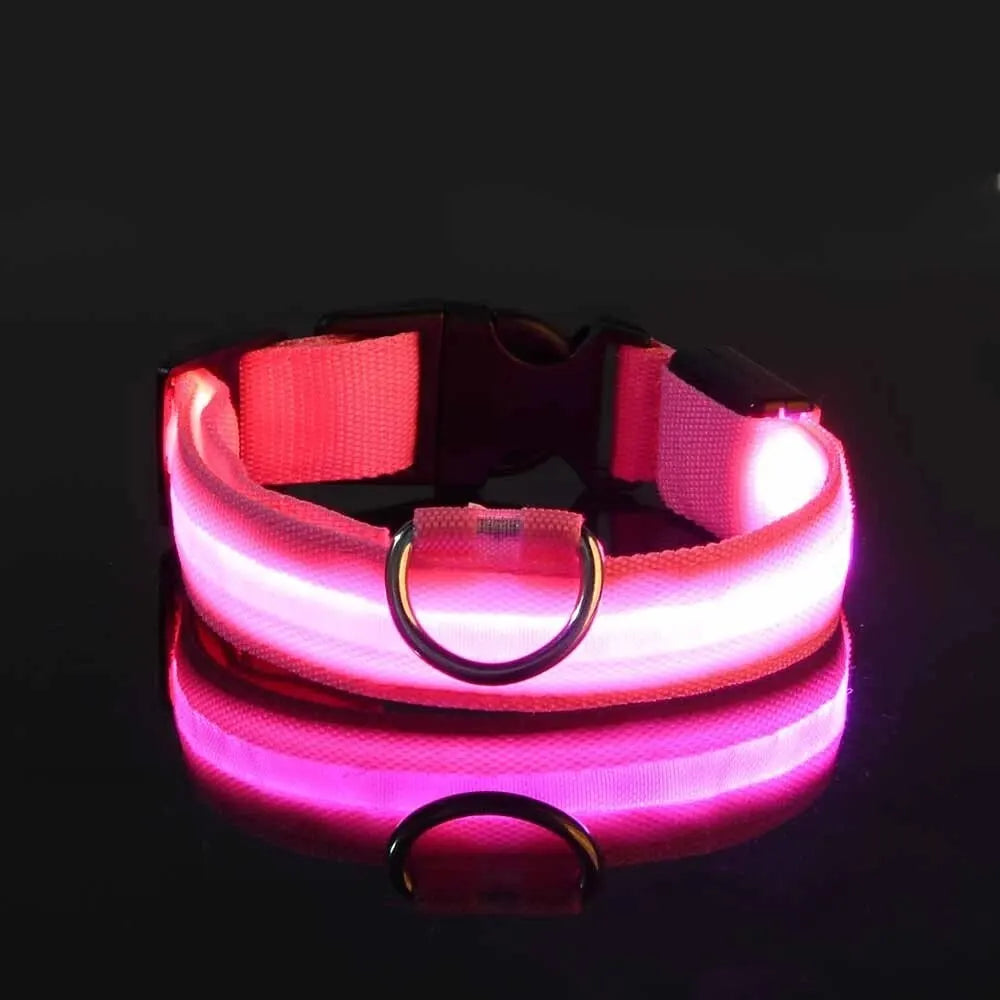 LED Glow-in-the-Dark Dog Collar & Leash – Night Safety Nylon Set