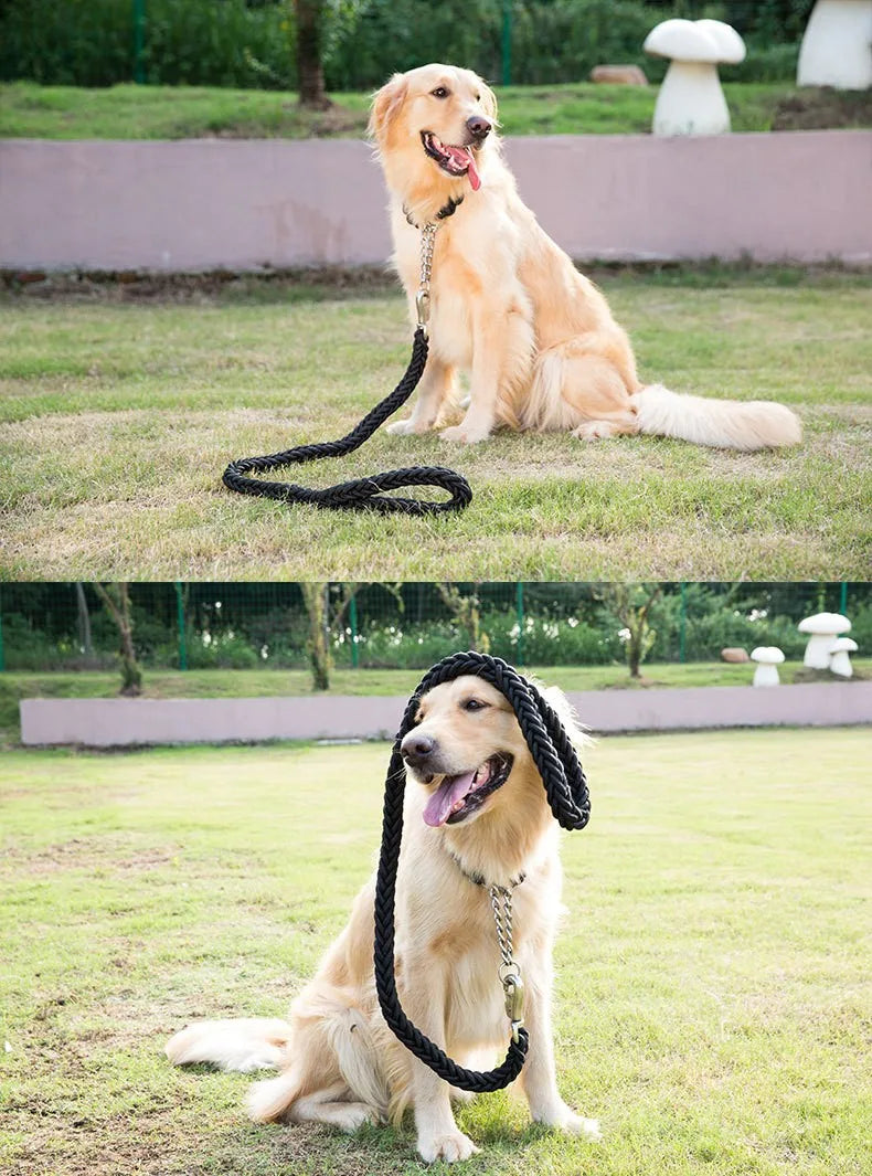 Comfort-Strong 5FT Braided Dog Leash for Training & Walks