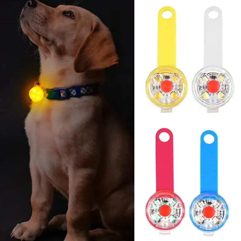 LED Safety Light Dog Collar – USB Rechargeable & Weatherproof for Pets