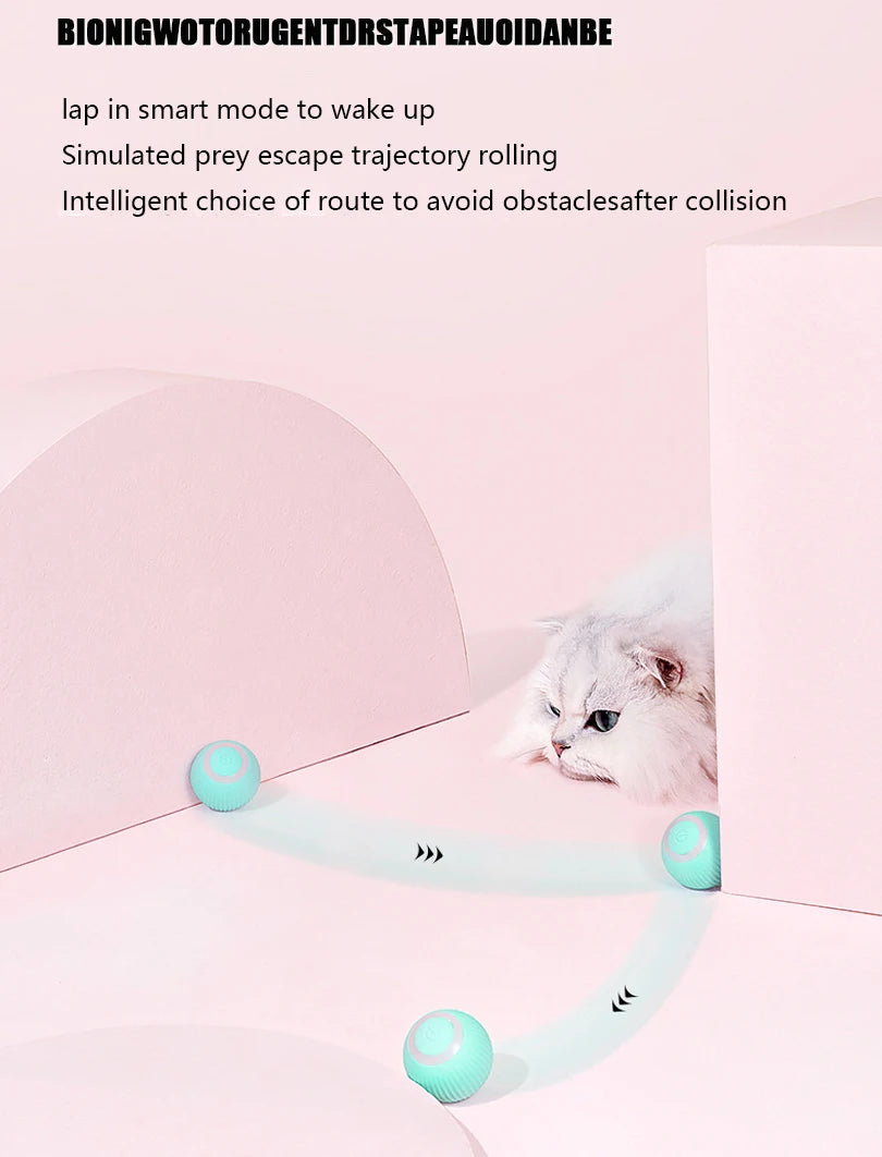 Smart Interactive Cat Car Toy – Remote-Controlled Mouse Ball for Indoor Play