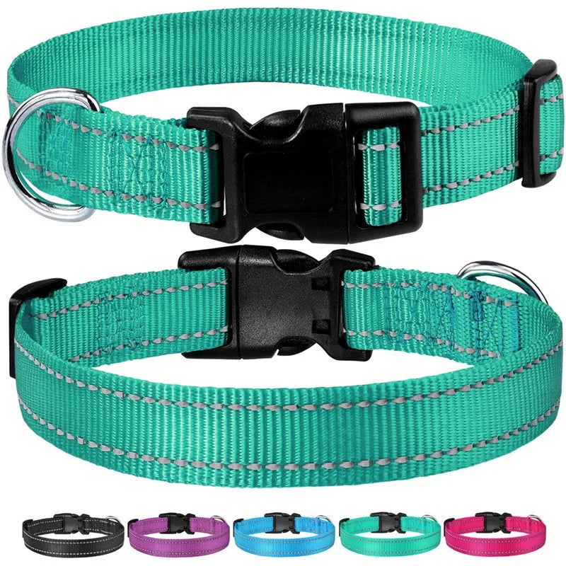Reflective Adjustable Nylon Dog Collar for Small & Medium Pets