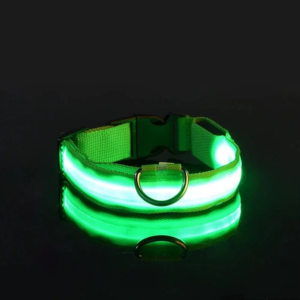 LED Glow-in-the-Dark Dog Collar & Leash – Night Safety Nylon Set
