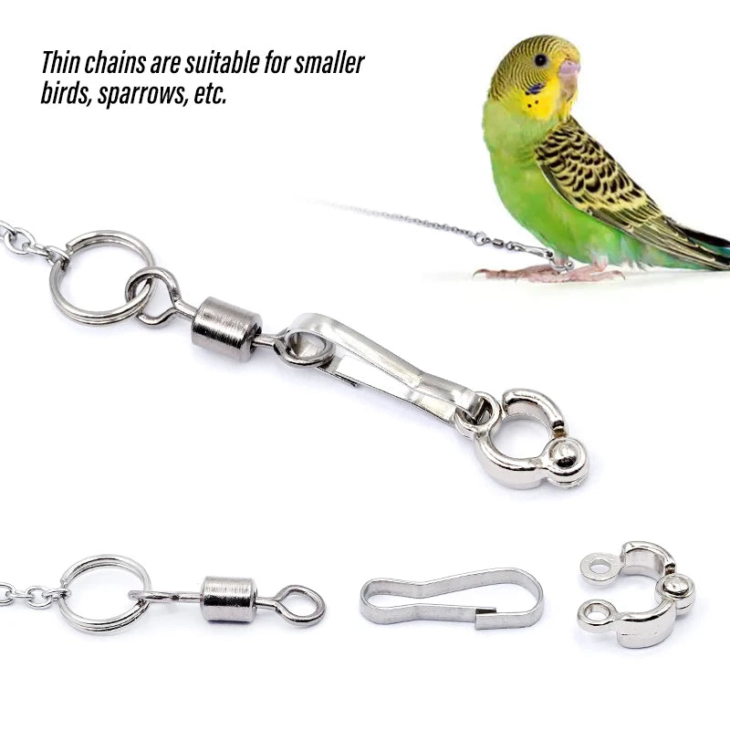 Parrot Leg Ring with Foot Chain – Bird Ankle Strap for Outdoor Flying & Training