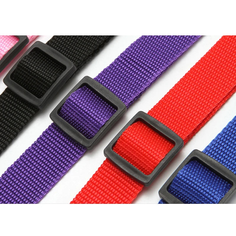 2-in-1 Adjustable Pet Car Seat Belt & Nylon Leash – Solid Color