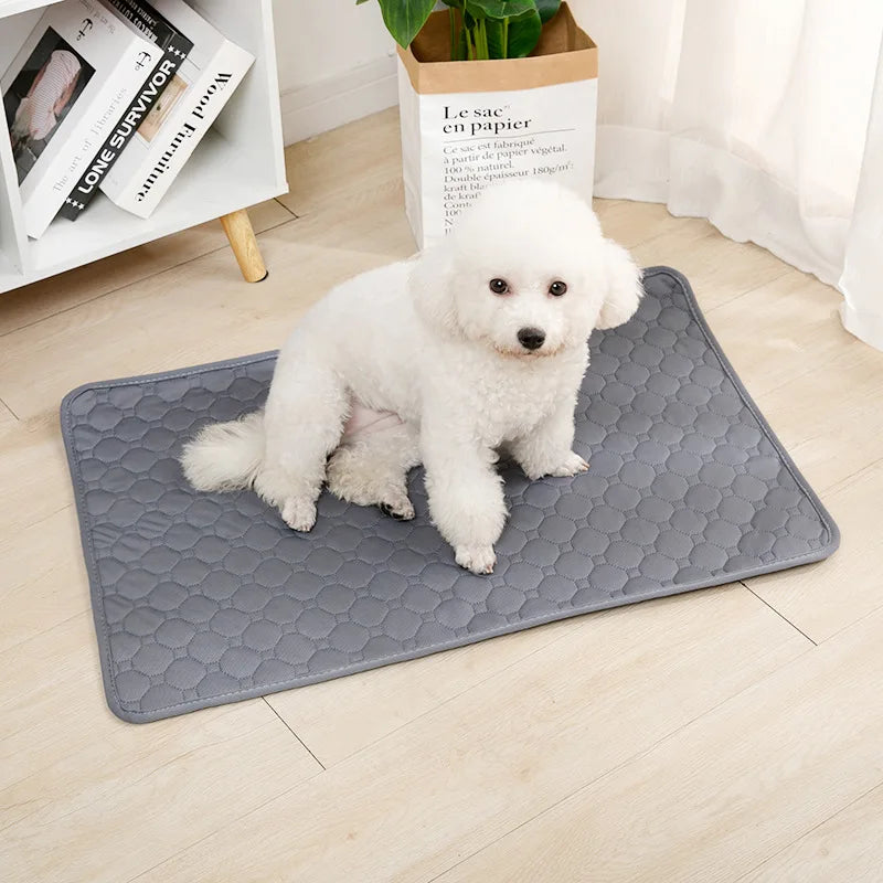 Washable Reusable Dog Pee Pad – Absorbent Puppy Training & Bed Mat