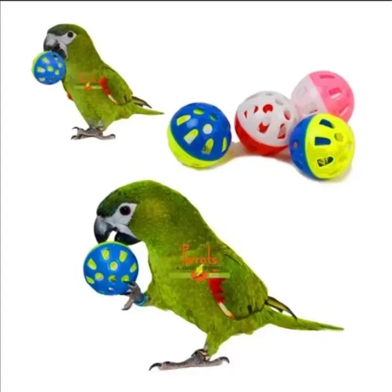 5pcs Parrot Bell Ball Toys – Fun Hollow Chew Toys for Parakeets & Cockatiels