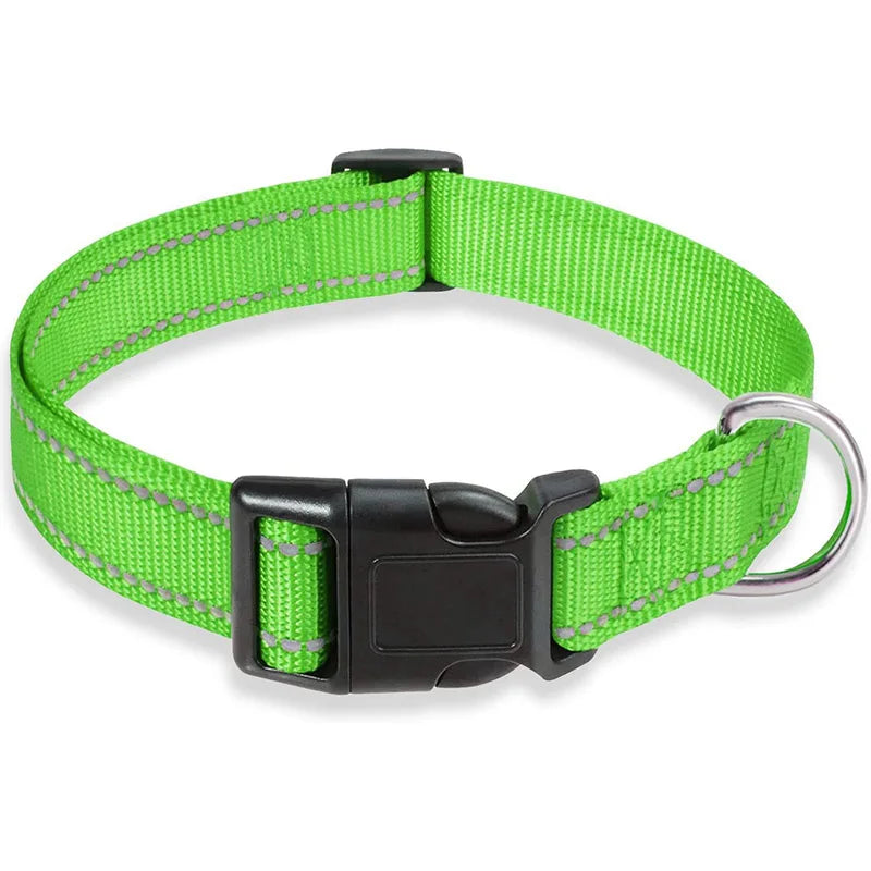 Reflective Adjustable Nylon Dog Collar for Small & Medium Pets