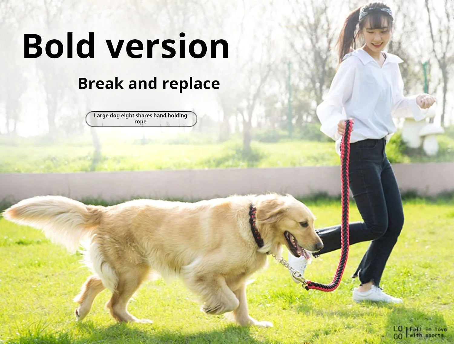 Comfort-Strong 5FT Braided Dog Leash for Training & Walks