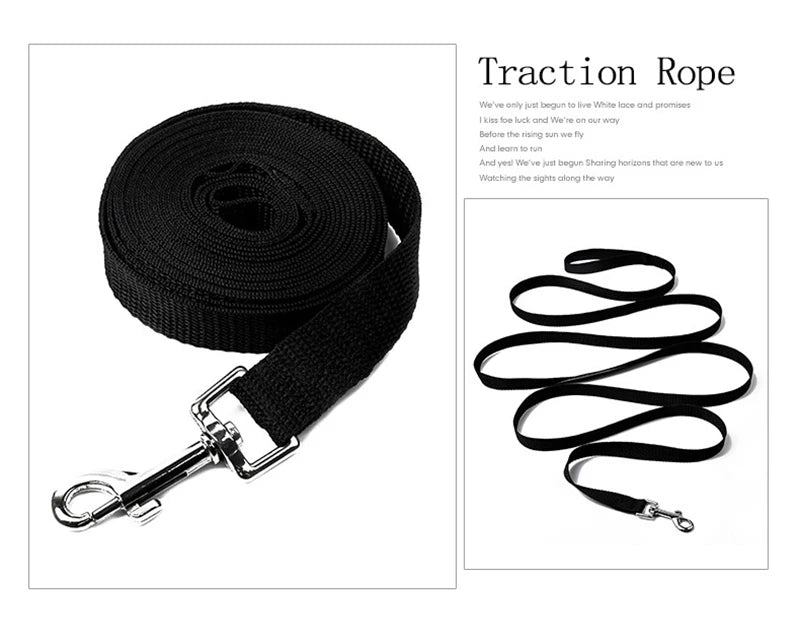 Long Dog Training Leash – Outdoor Running Lead for Small & Large Dogs