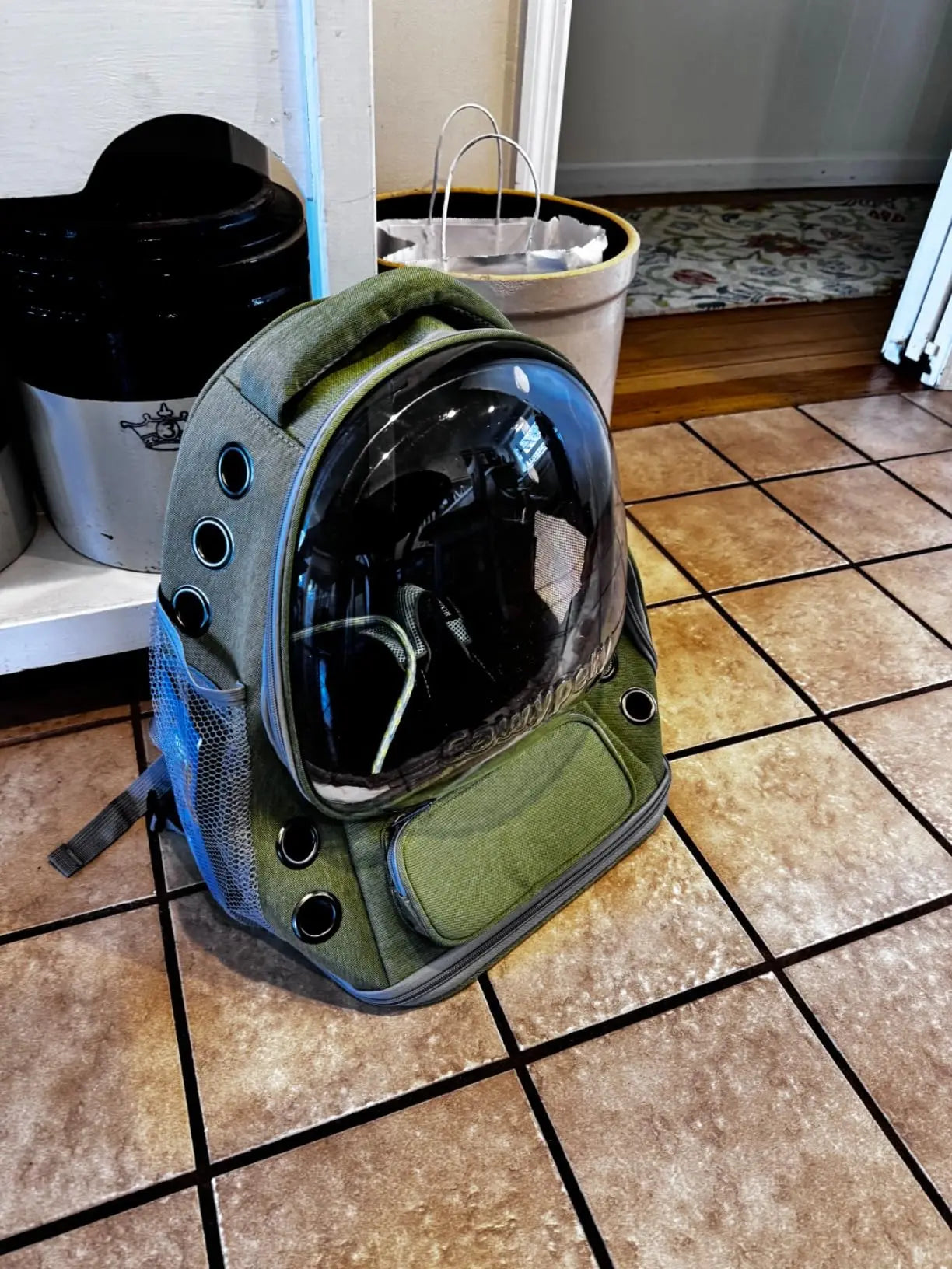 Transparent Folding Pet Carrier Backpack – Portable Travel Tote for Cats & Small Dogs