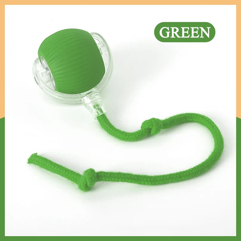 Motion-Activated Rolling Cat Toy – Fast Ball in Pouch for Indoor Play