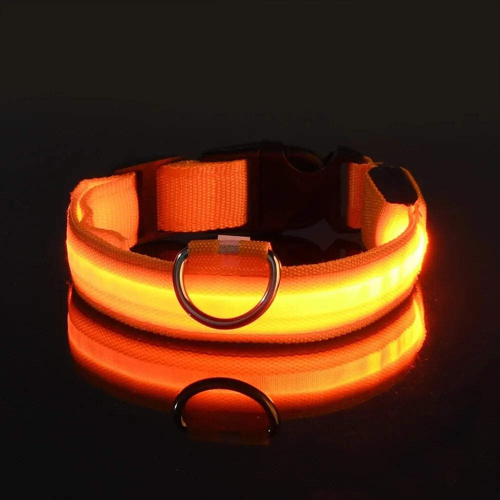 LED Glow-in-the-Dark Dog Collar & Leash – Night Safety Nylon Set