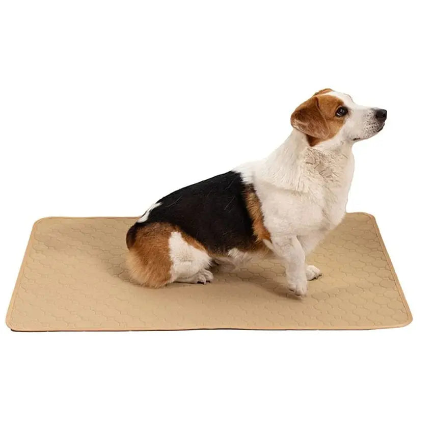 Washable Dog Training Pad – Reusable Non-Slip Pee Mat for Pets