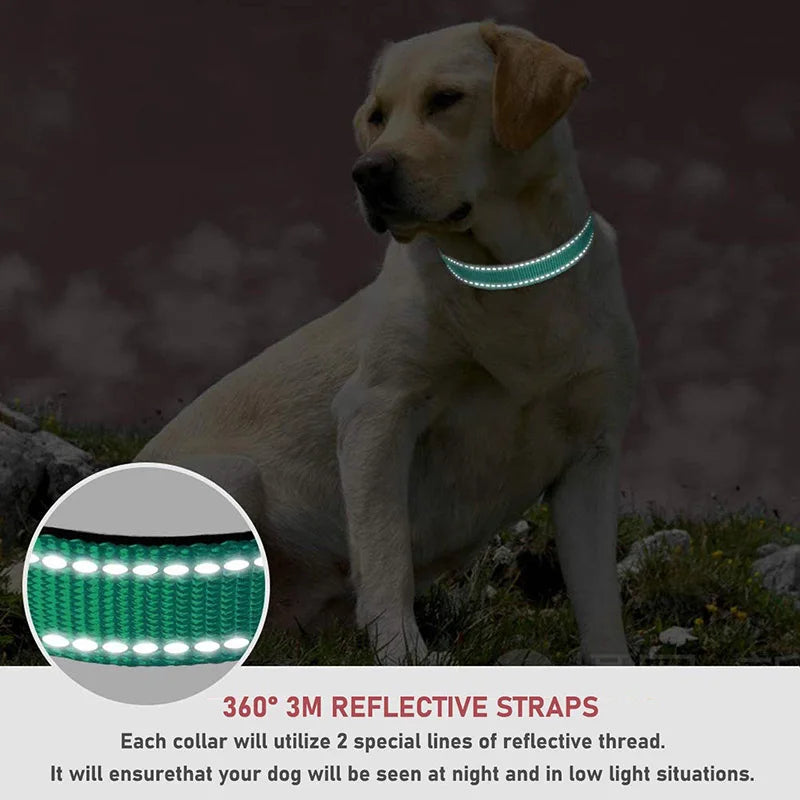 Reflective Adjustable Nylon Dog Collar for Small & Medium Pets