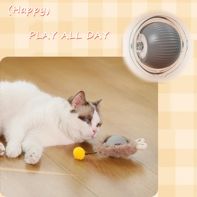 Motion-Activated Rolling Cat Toy – Fast Ball in Pouch for Indoor Play