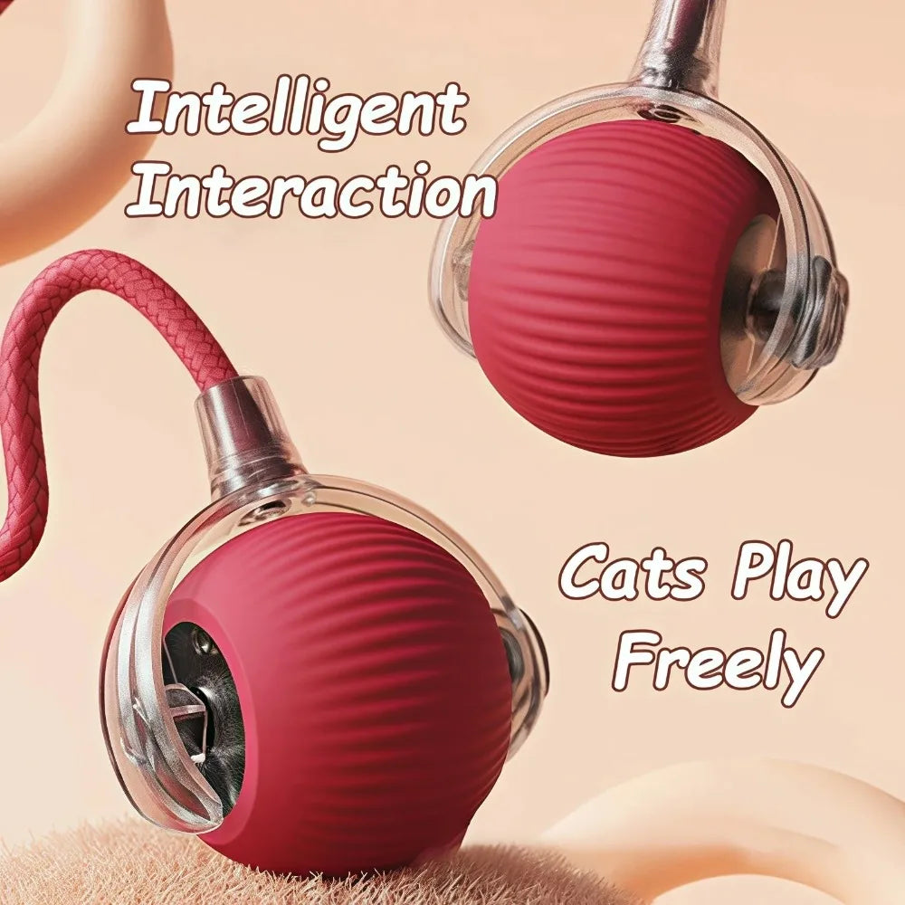 Rechargeable Smart Cat Ball Toy – Auto Rolling with Faux Tail, Imitates Mouse