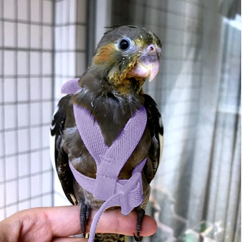 Parrot Flight Harness & Leash – Outdoor Training Suit for Budgies, Cockatiels & Macaws