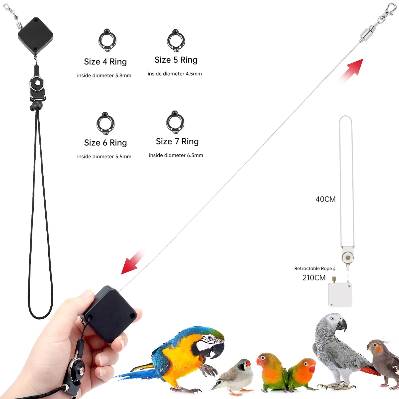Parrot Training Leash with Auto Retractable Cord – Outdoor Flight Control Rope