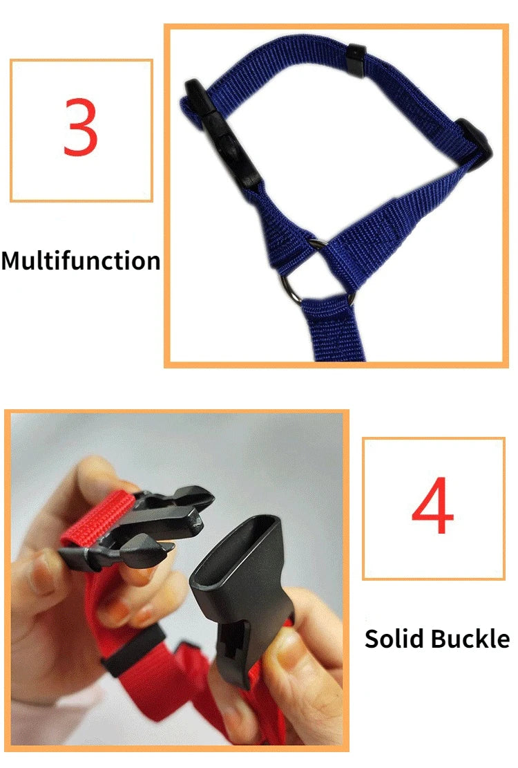 2-in-1 Adjustable Pet Car Seat Belt & Nylon Leash – Solid Color