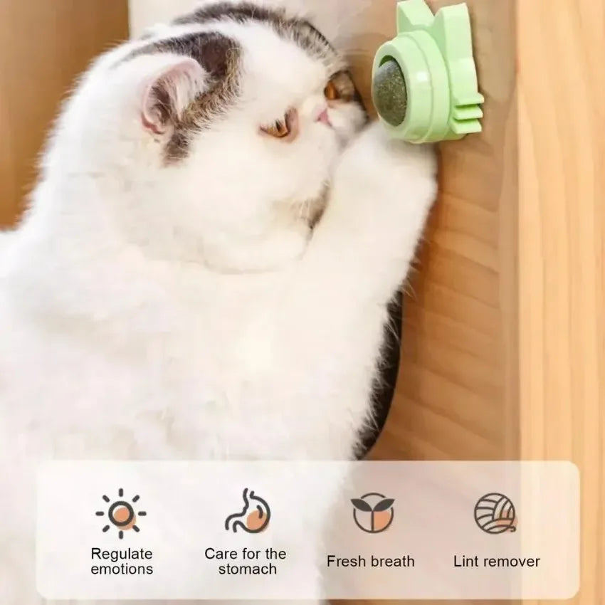 Lickable Catnip Balls – Chew Toy & Teeth Cleaner for Small to Medium Cats