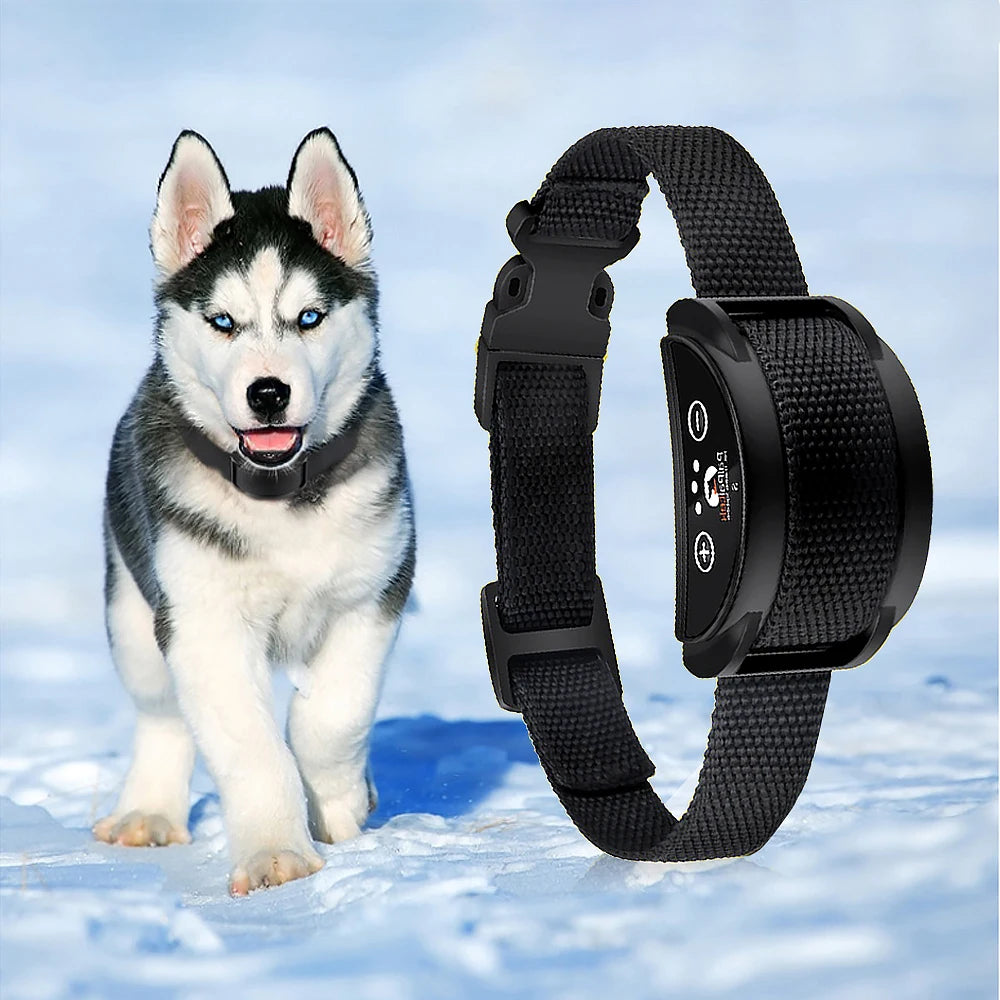 Rechargeable Anti-Bark Dog Collar – Vibration Training Collar for Small & Medium Dogs