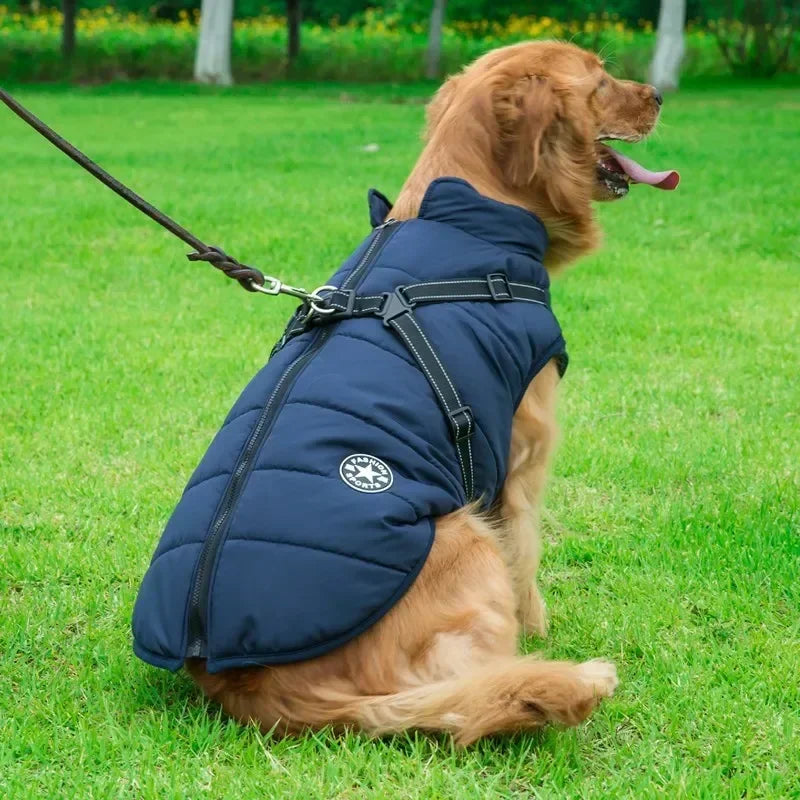 Winter Dog Jacket with Built-in Harness – Waterproof Warm Coat for Small & Large Dogs