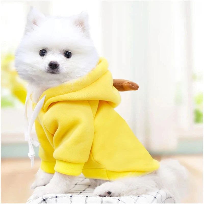 Cute Fruit Fleece Dog Hoodie – Warm Pet Clothes for Small Dogs & Cats