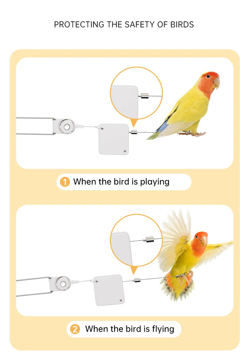 Parrot Training Leash with Auto Retractable Cord – Outdoor Flight Control Rope