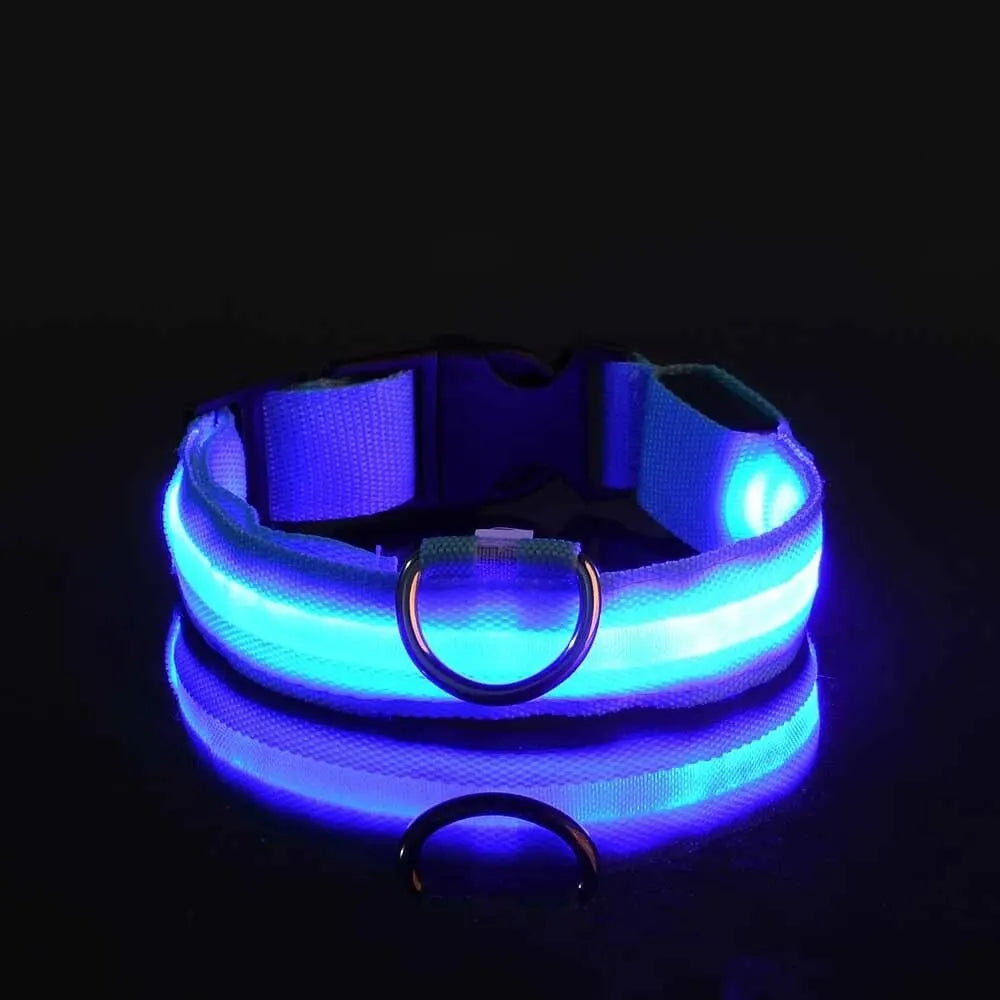 LED Glow-in-the-Dark Dog Collar & Leash – Night Safety Nylon Set
