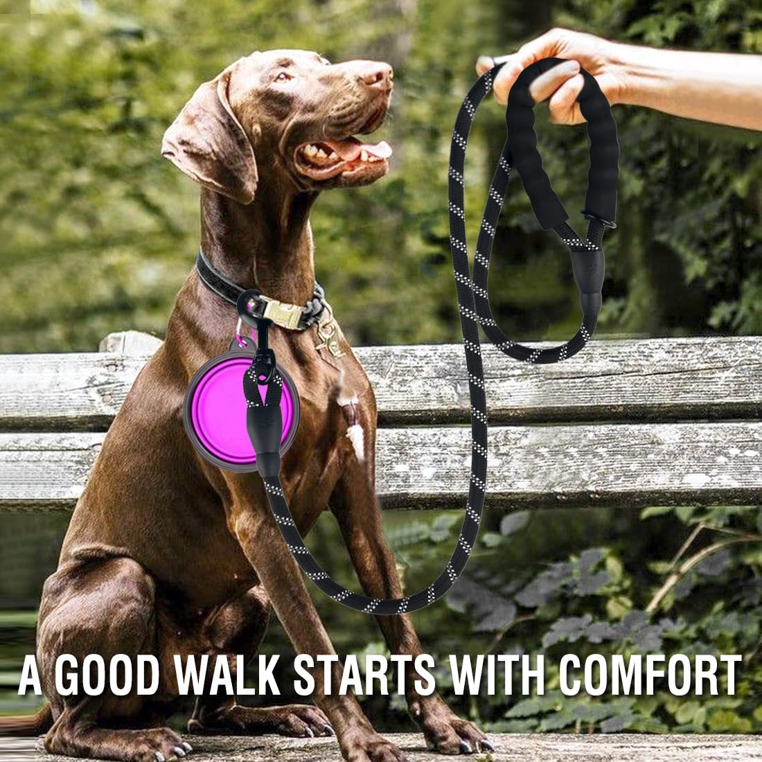 Heavy-Duty Reflective Dog Leash – For Small, Medium & Large Dogs