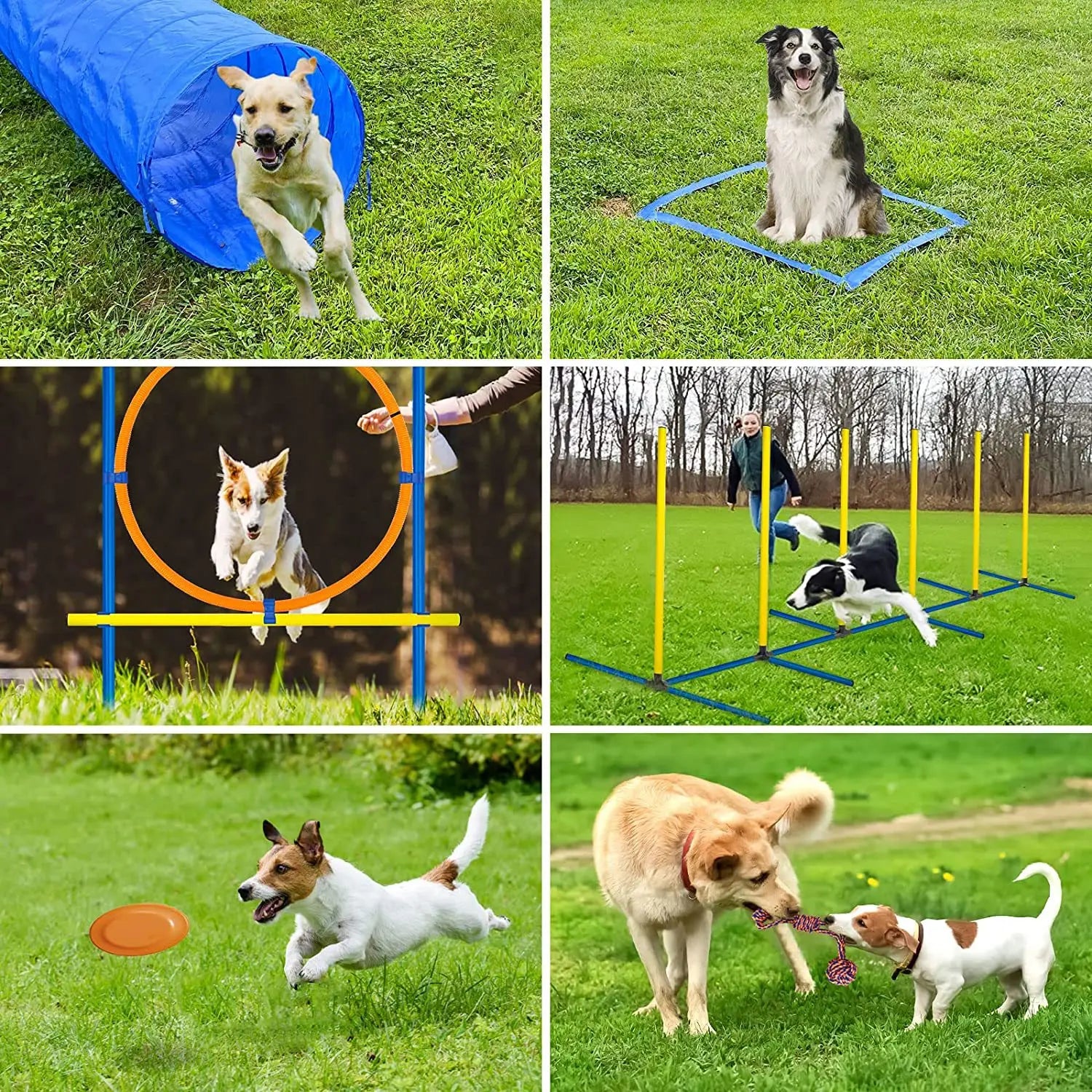 Dog Agility Training Hurdle – Adjustable Jump Bar Obstacle for Exercise & Obedience