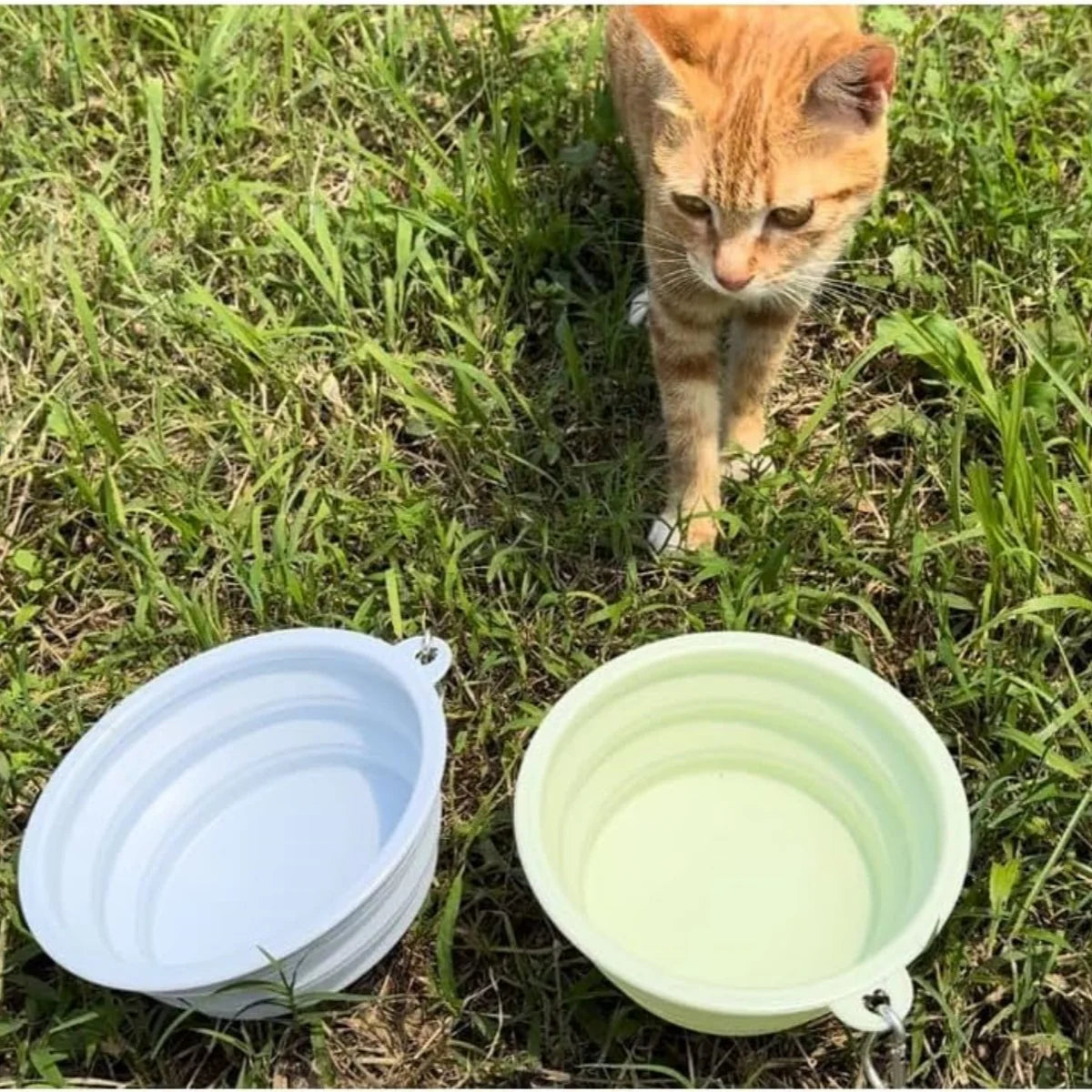 2PCS Collapsible Pet Bowls – Portable Silicone Food & Water Dishes with Carabiner