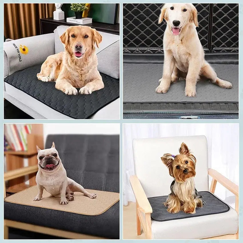 Washable Dog Training Pad – Reusable Non-Slip Pee Mat for Pets