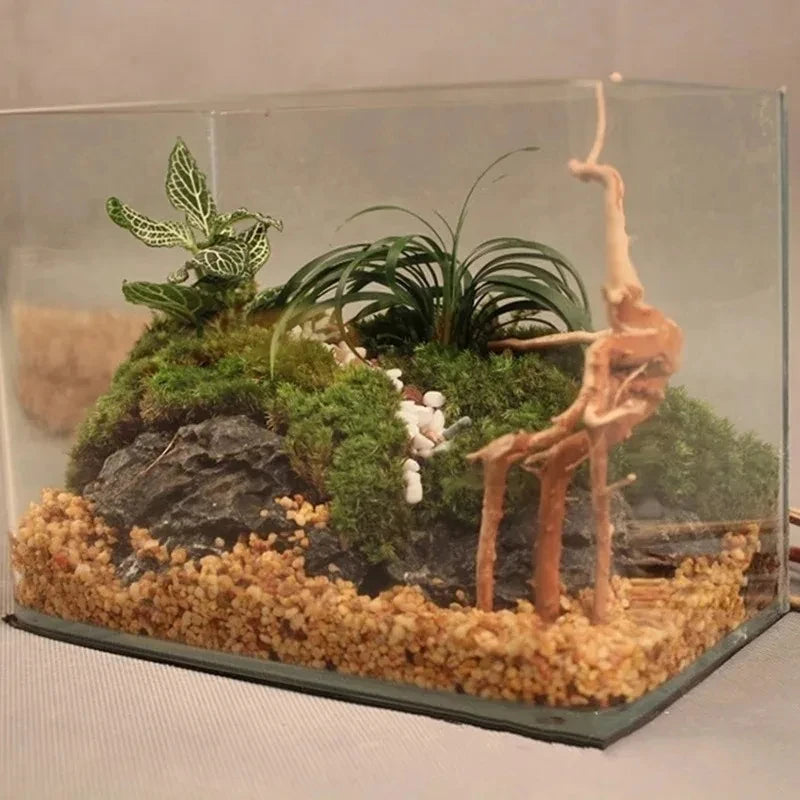 Natural Driftwood Root Aquarium & Reptile Tank Decor