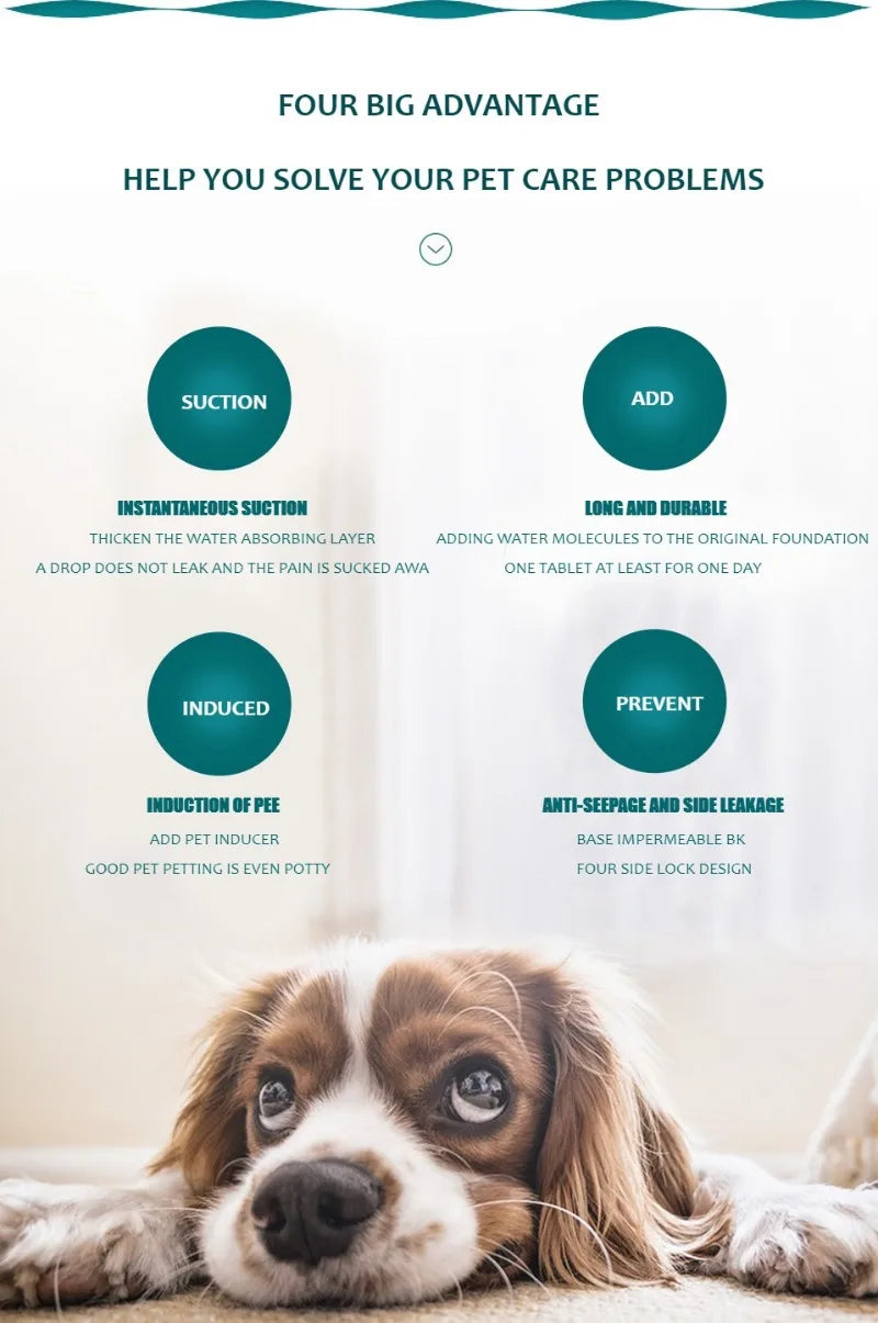 Washable Reusable Dog Pee Pad – Absorbent Puppy Training & Bed Mat